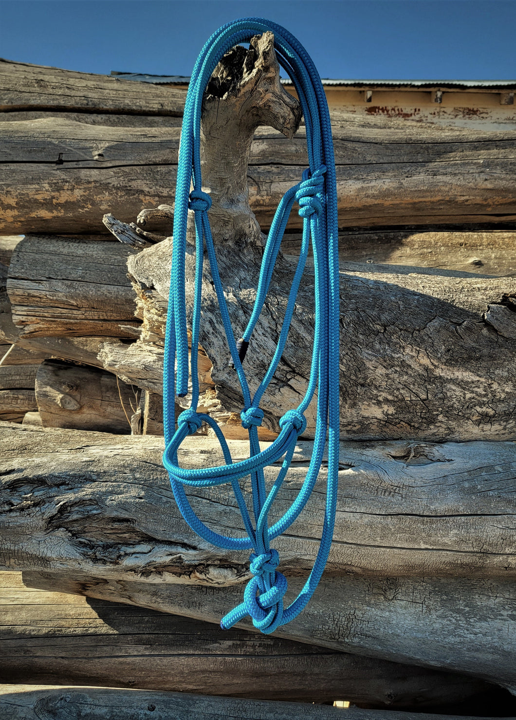 Electric Blue Rope Mule Halter